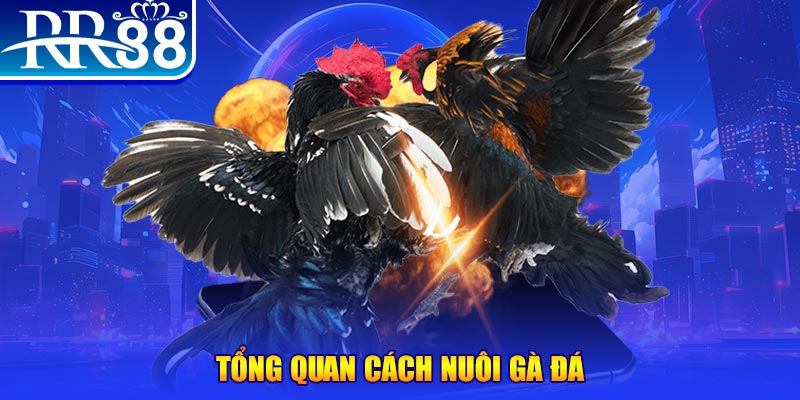 f8bet50 game nổ hũ rút tiền mặt là gì
