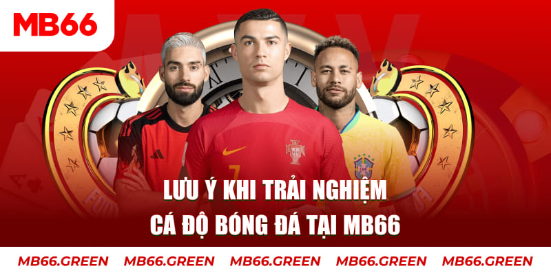 f8bet50 Ba viên xúc xắc