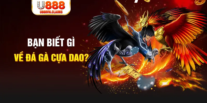 f8bet50 SW Xổ Số