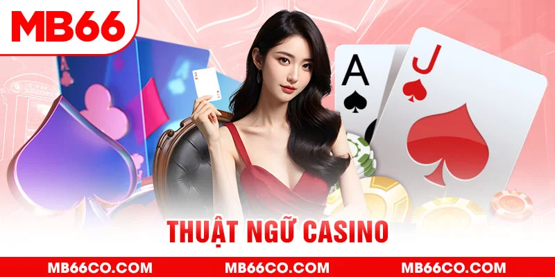 f8bet50 gà chọi c1 mới nhất