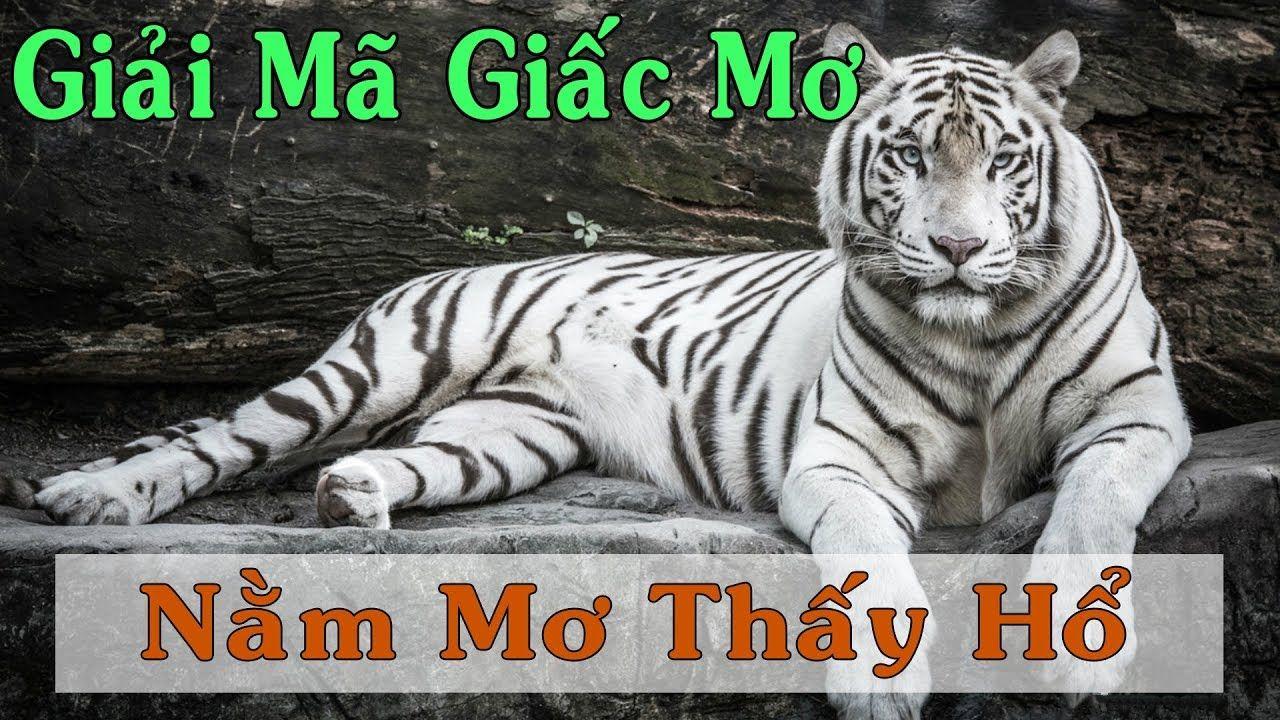 f8bet50 nổ hũ là game gì