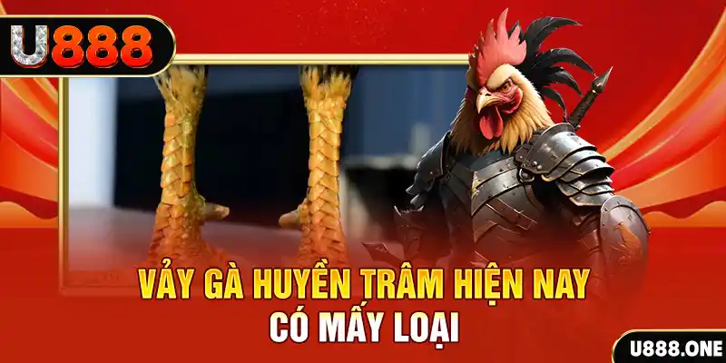 f8bet50 casino online là gì