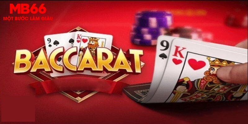 f8bet50 how to win at casino slots