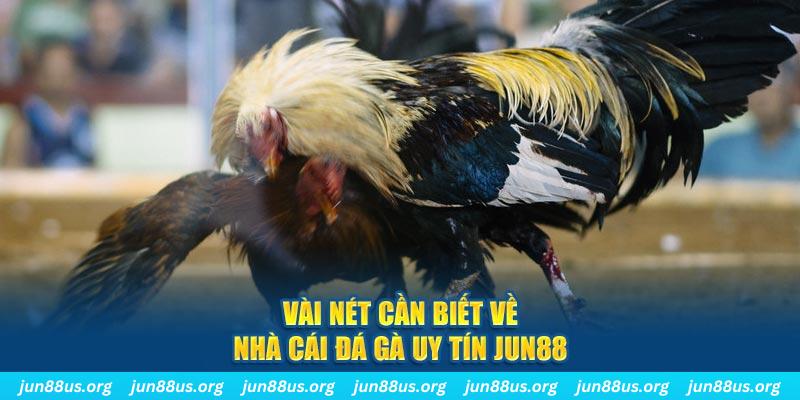 f8bet50 đăng nhập phỏm khuyến mãi