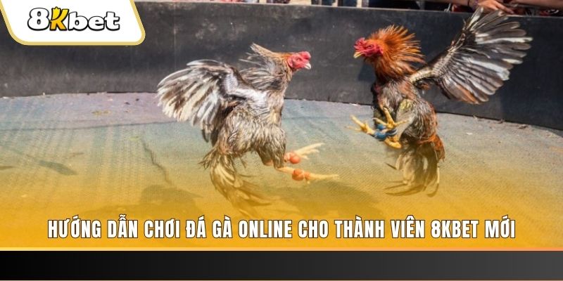 f8bet50 JILI Game Bài 3d