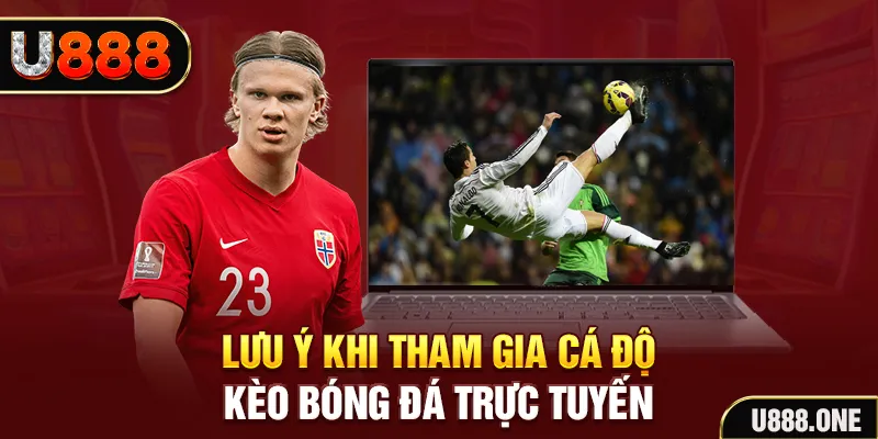 f8bet50 đăng nhập tiến lên miền nam khuyến mãi