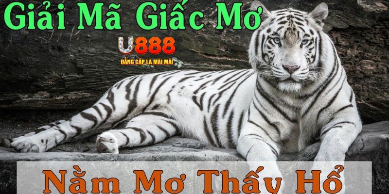 f8bet50 xổ số miền bắc xổ số miền bắc