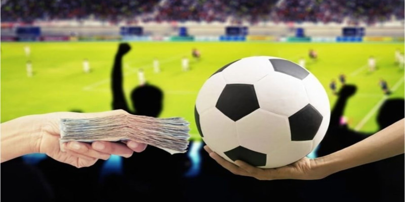 f8bet50 game đánh bài offline cho máy tính