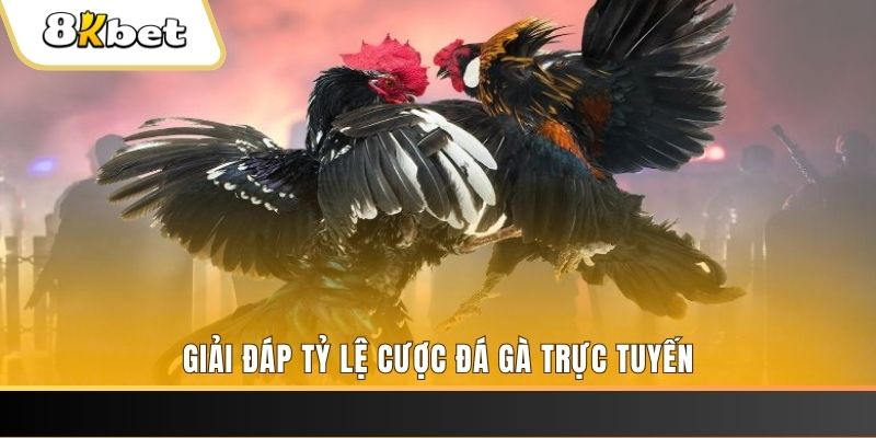 f8bet50 ga choi cau thanh