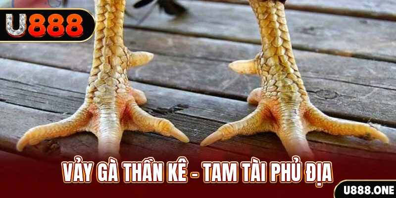 f8bet50 xổ số miền trung thứ hai hàng tuần
