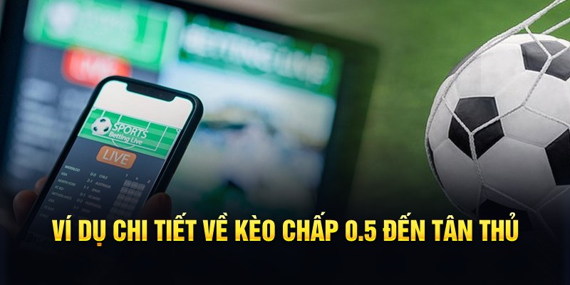 f8bet50 RTG Game Bài 3d
