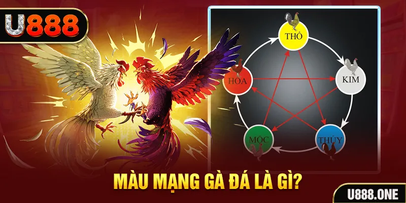 f8bet50 xổ số miền trung thứ tư hàng tuần