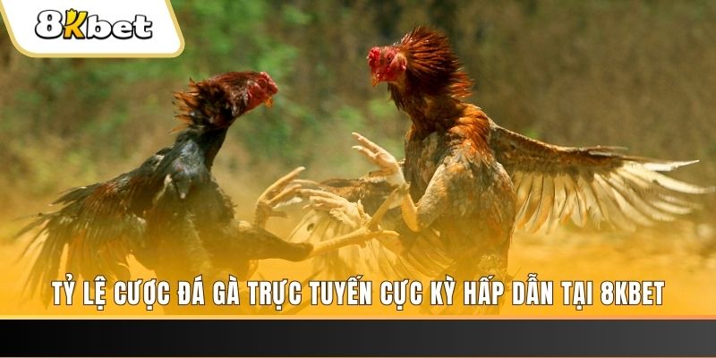 f8bet50 đăng nhập nổ hũ trực tuyến
