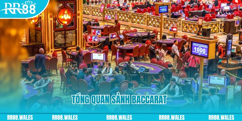 f8bet50 what is a casino jackpot