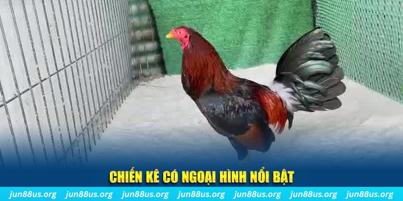 f8bet50 game bắn cá