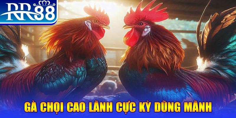 f8bet50 HB Điện Tử