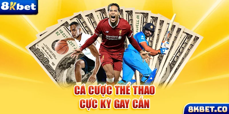 f8bet50 xem đá gà trực tiếp